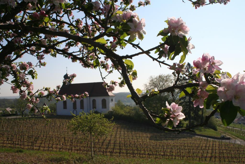 Villa Mandelbluete Gleiszellen-Gleishorbach Værelse billede