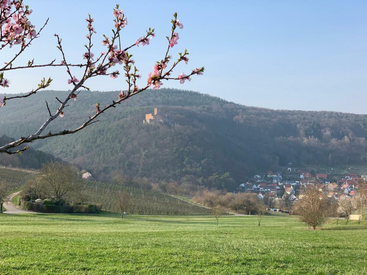 Villa Mandelbluete Gleiszellen-Gleishorbach Eksteriør billede